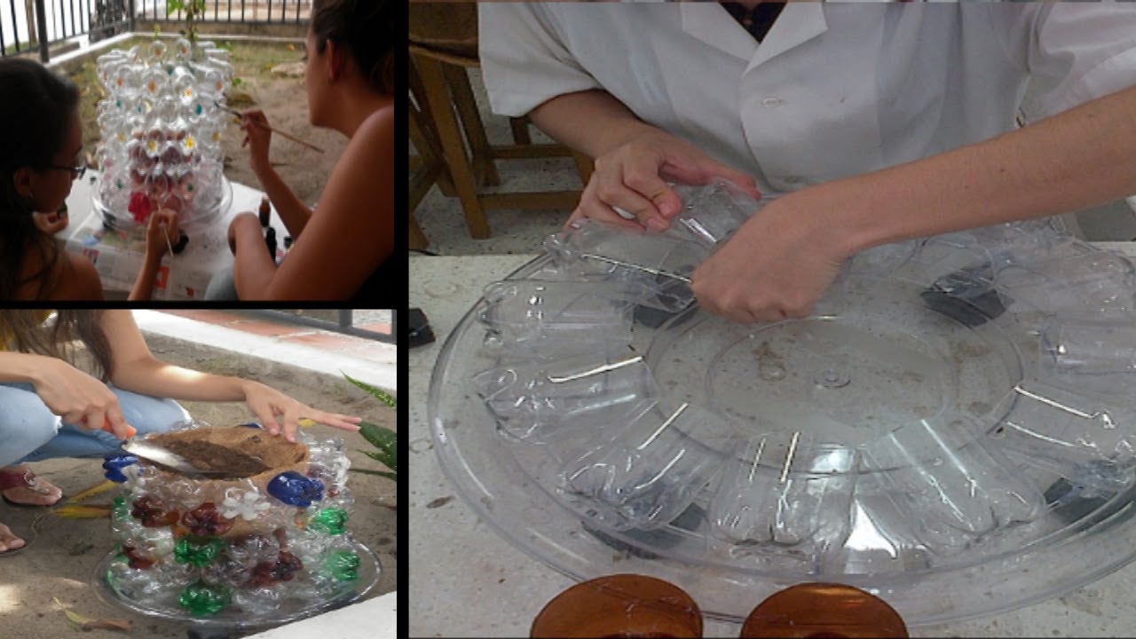 Proyectos De Ciencia Que Ayuden Al Medio Ambiente