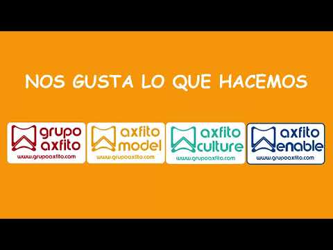 Grupo Axfito Industrias Culturales y Creativas 1